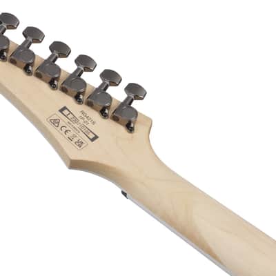 Ibanez RG421S-SEM RG Electric Guitar 6-String - Sea Shore Matte image 12