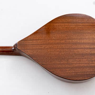 1923 Martin Style A Mandolin in Natural image 5