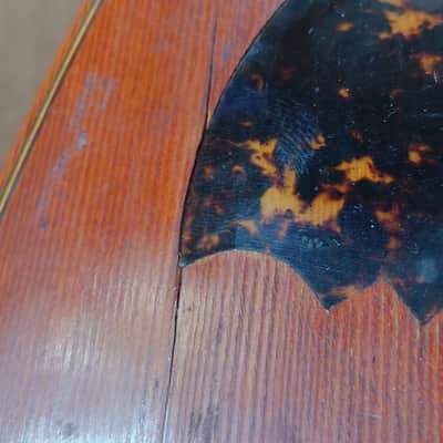 Rare Schwarzer Model 120 "Echo" bowl back mandolin Circa 1900 image 13