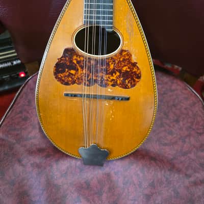 Washburn Cremonatone 215 Bowlback Mandolin w Original Case 1890s-1910s image 2