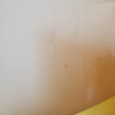 Jedson T-Style 1960s - Blonde w Hardshell Case image 3