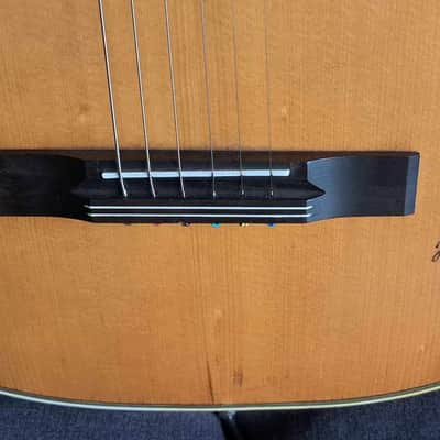 HARMONIE Folk/blues parlor with 3 piezo pickups 1960 image 12