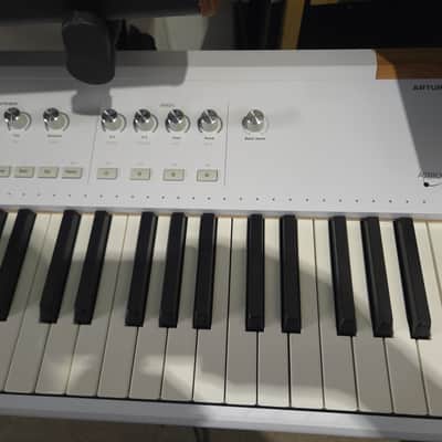 Arturia AstroLab 88-Key Stage Keyboard 2025 - Present - Local Pickup Only image 4