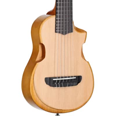Ibanez AUP10N Tenor Ukulele (with Gig Bag), Open Pore Natural image 1