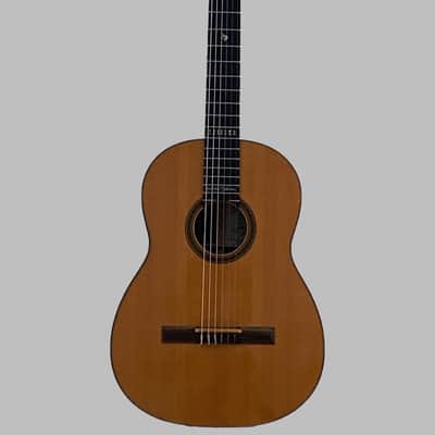 Martin N-20WN Willie Nelson "Trigger" Limited Edition Signature Model 1998 image 1