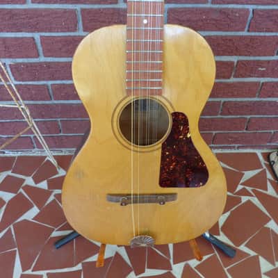 1960's Jackson Guldan Cittern - 10 Strings in B Tuning - Fifths Tuning image 3
