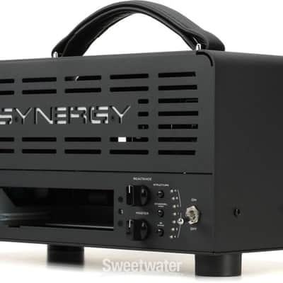 Synergy SYN-20IR 20-watt Amplifier Head - No Module Included (SYN-20IRd9) image 3