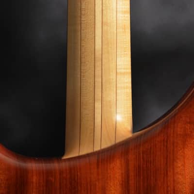 Alembic Custom CLB5 Fretless 5 String With LEDs image 4
