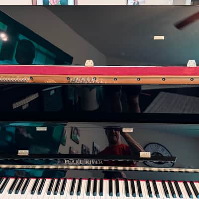 Immagine Pearl River UP115M5 Upright Piano 2014 - Ebony - 15