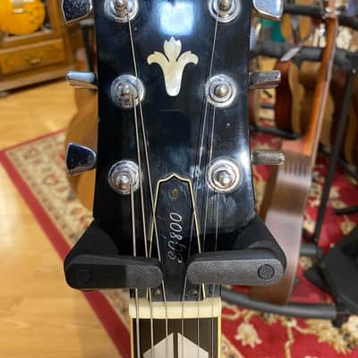 Yamaha SG-800 1981 Oil Stain (Brown) image 4