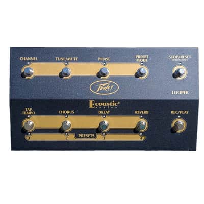 PEAVEY ECOUSTIC E110 ACOUSTIC AMP W FOOT CONTROLLER image 6