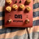 Strymon DIG Dual Digital Delay V2 2022 - Present - Pink