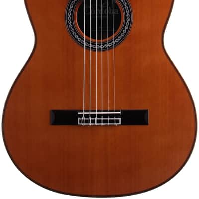 Cordoba C12 CD Classical Acoustic Guitar, with Case, Open Box (Very Good) image 2