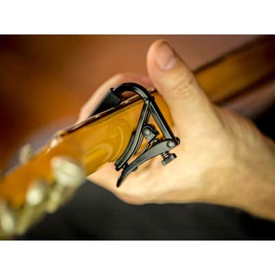 C1K Capo Noir Shubb image 3
