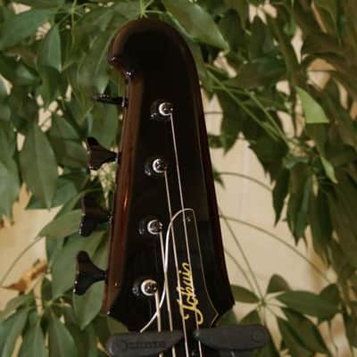 Tokai T-Bird Set neck! image 6