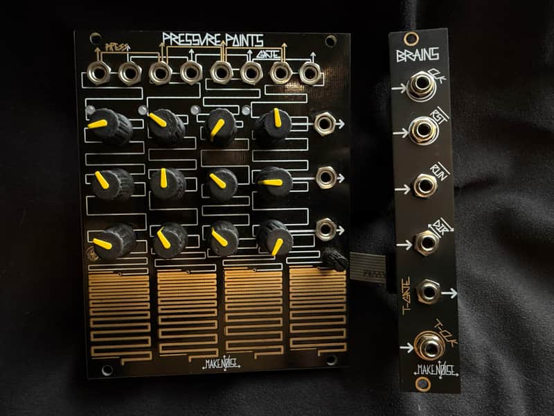 Make Noise Pressure Points and Brains Clock Expander Module 2008 - Present - Black & Gold image 1