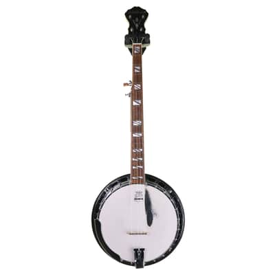 Washburn B160 Sonny Smith Signature 5-String Banjo image 3