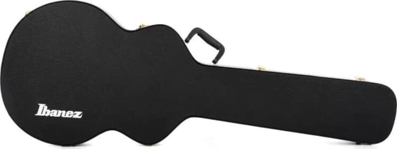 Ibanez AFB100C Wood Acoustic Bass Hard Case, Black image 1