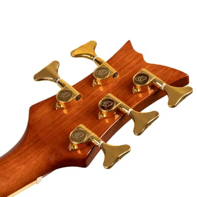 Ortega D8CE-5-L Deep Series 8 Spruce Top Medium Scale 5-String Acoustic-Electric Bass Guitar For Left Hand Player image 16