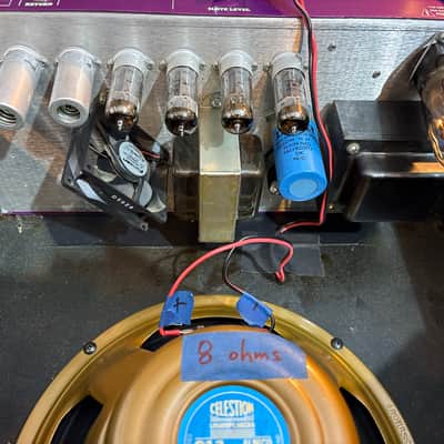 Rare Budda Superdrive 30 (SD30) Jeff Bober Prototype Combo – Hand-Signed / Internal Markings image 4