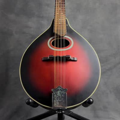 J. Reynolds JRMAN20 A-Style Mandolin image 5