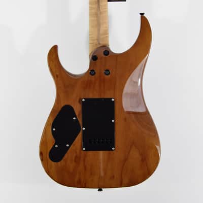 LsL Instruments XT4 DX "Adria" Electric Guitar w/ Case - Transparent Brown image 3