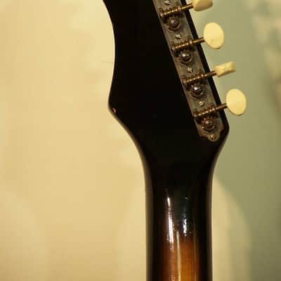 Harmony H15 Bobkat 1965 SUNBURST image 12