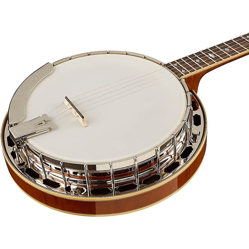 Recording King RK-M5 USA Series Resonator Banjo image 3