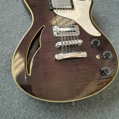 Schecter THS 12 String - Transparent Dark Brown image 4