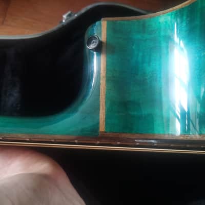 Ortega 25th Anniversary walker VIDEO
with stagg hard case image 14