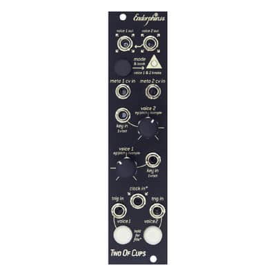 Endorphin.es Two of Cups Eurorack Synth Module