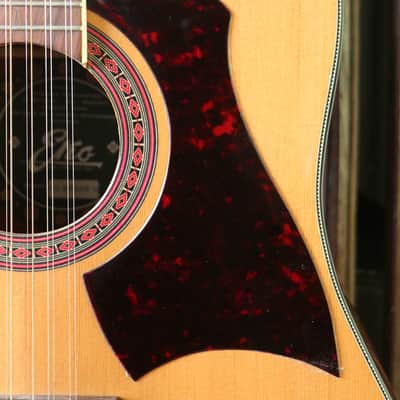 1978 Eko Rio Bravo 12 (Best Around) + Pro Setup + TKL Case (#32) image 1