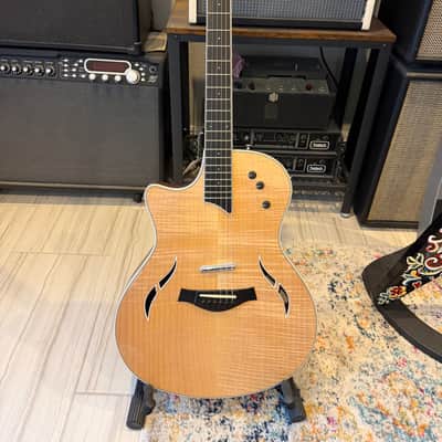 TAYLOR T5-S1 electric guitars