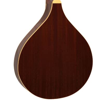 Gold Tone OM-800+/L Arched Solid Spruce Octave&Mahogany Neck Mandolin w/Hard Case For Lefty Players image 3
