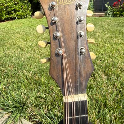 1921 Bacon Professional Mandolin - Rare! image 3