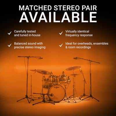 SE ELECTRONICS sE4100 Large Diaphragm Condenser Microphone with Gold Capsule, Cardioid Pickup Pattern, Pads & Low-Cut Filters & Shockmount - Professional Studio Recording Microphone (Matched Pair) image 8