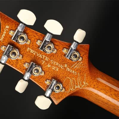 PRS Private Stock Special 22 Semi-Hollow in Tiger Eye Glow PS#10490 image 12