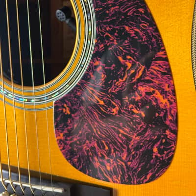 Martin Trey Anastasio Signature Edition DC Fishman Ellipse image 5