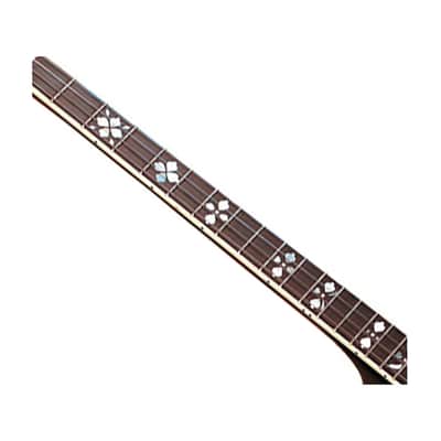 Gold Tone TS-250 Professional 4-String Tenor Banjo image 3