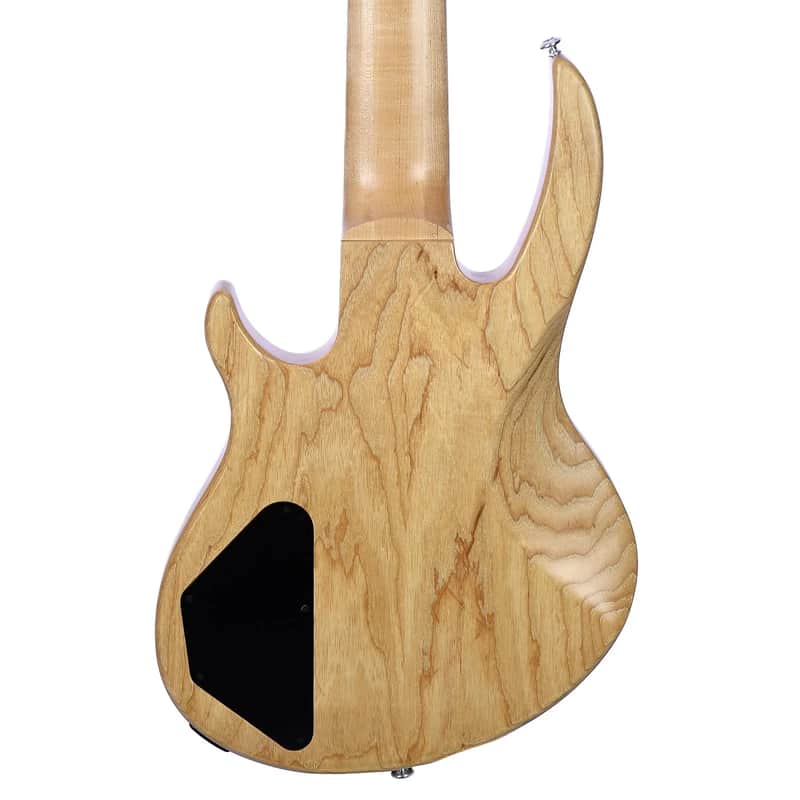 Gibson EB Bass T 5-String image 4