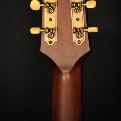 Iris ms-OO Redwood / Rosewood 2024 - Natural Satin image 17
