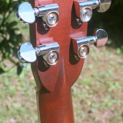 1978 Yairi  YW-600 Coral Rosewood(New Jacaranda ) Body Natural Bargain image 10