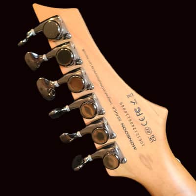 Leo Jaymz Monsoon/Gold Burl Resin/Free Shipping/Set Up/Dual Humbuckers image 6