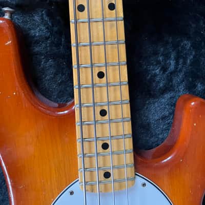 Musicman Stingray 1986 Honey burst image 13