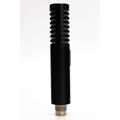 Royer R101 Ribbon Mic (Used) #1 image 7