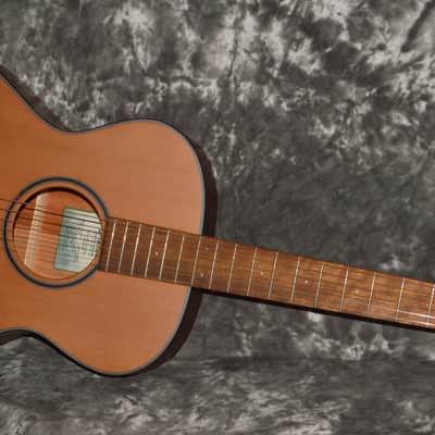 2022 Breedlove - Discovery S Concertina imagen 3