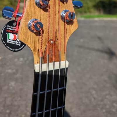 Tiny Bass TBJ 3500 NSM 5 String 2022 Natural Spalted Maple image 5