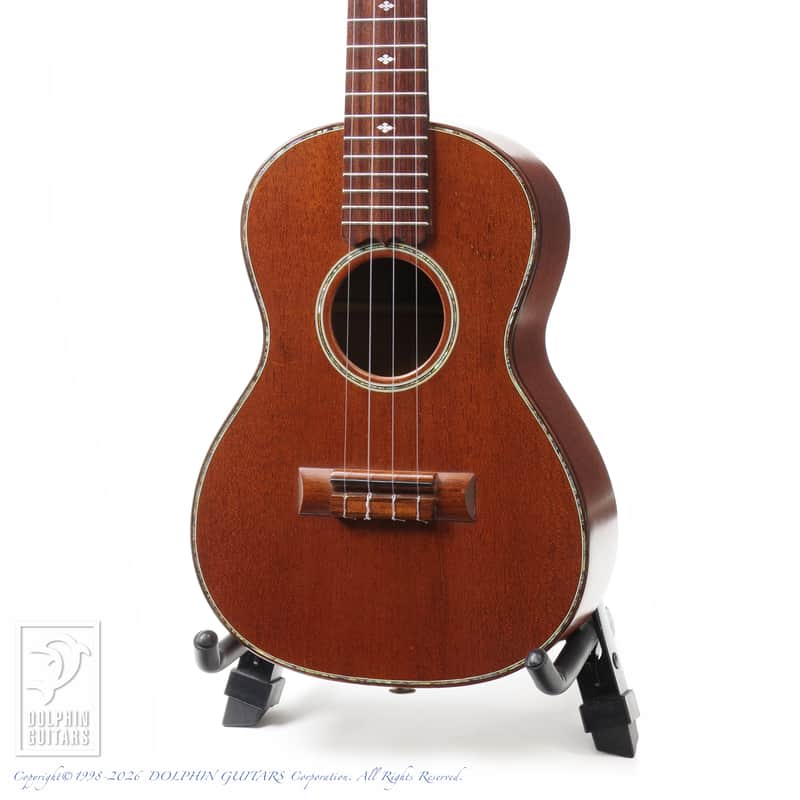 KAWAKAMI GUITARS＜MIJ> T-1M DX 2006 image 1