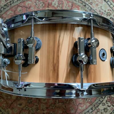 Sonor SQ2 Snare Drum 14 x 6 Medium Maple – High Gloss American Walnut image 8