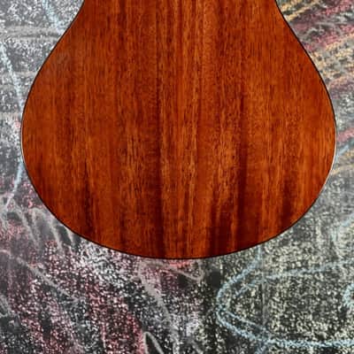 Breedlove Discovery S Concert Edgeburst 12 String CE Sitka-African mahogany image 9